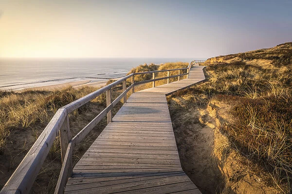 Path on the dunes above the Kampen West Beach, Sylt, Schleswig-Holstein, Germany