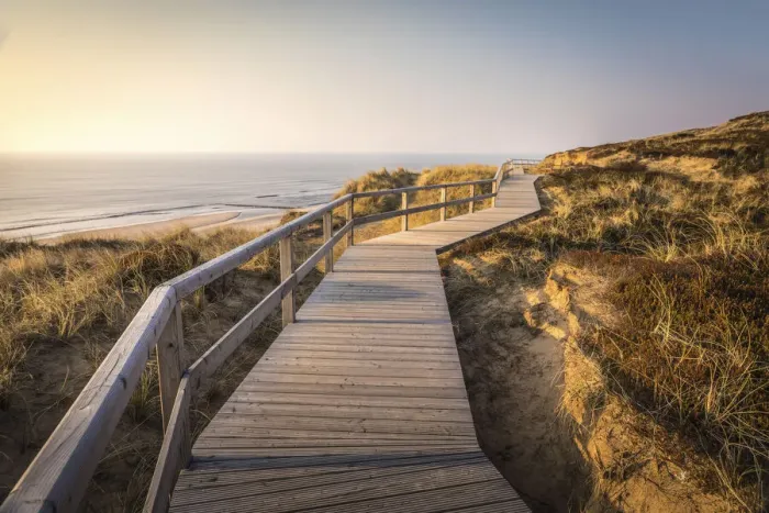 Framed Print : Path on the dunes above the Kampen West Beach, Sylt, Schleswig-Holstein, Germany Framed Print : Path on the dunes above the Kampen West Beach, Sylt, Schleswig-Holstein, Germany