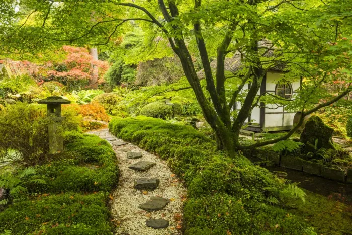 Framed Print : Path Through Japanese Garden, Tatton Park, Cheshire, England Framed Print : Path Through Japanese Garden, Tatton Park, Cheshire, England