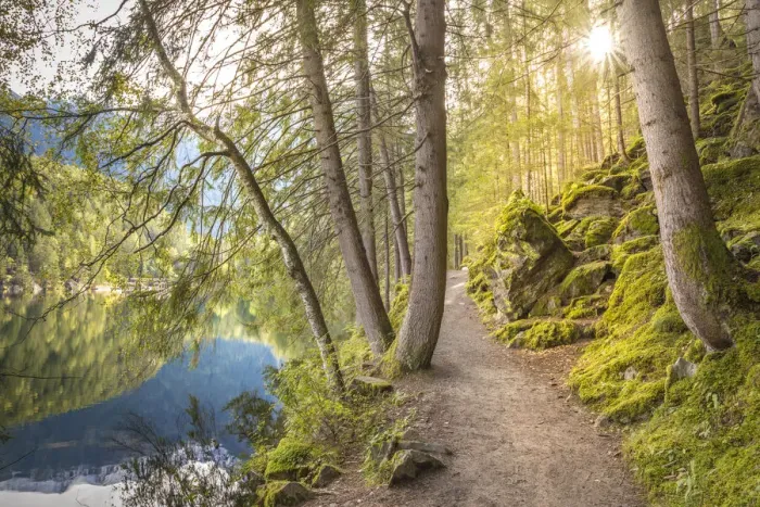 Framed Print : Path in the Lake Piburg in the Oetz valley Alps, Oetz, Tyrol, Austria Framed Print : Path in the Lake Piburg in the Oetz valley Alps, Oetz, Tyrol, Austria
