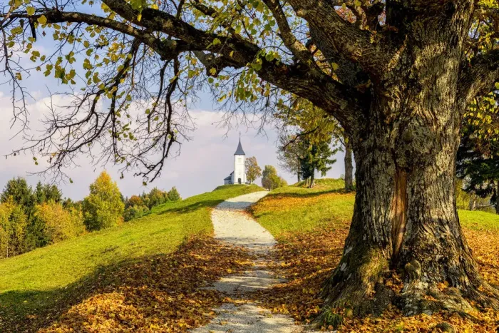 Framed Print : Path Leading to Jamnik Church in Autumn, Slovenia Framed Print : Path Leading to Jamnik Church in Autumn, Slovenia