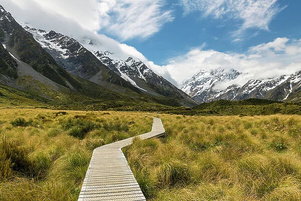 Path Leading to Mt. Cook, South Island, New Zealand