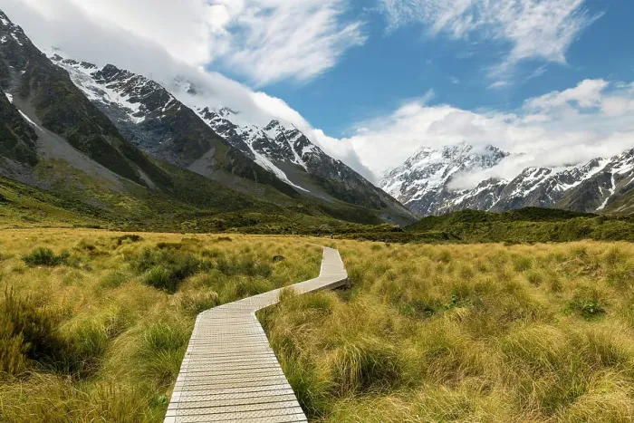 Framed Print : Path Leading to Mt. Cook, South Island, New Zealand Framed Print : Path Leading to Mt. Cook, South Island, New Zealand