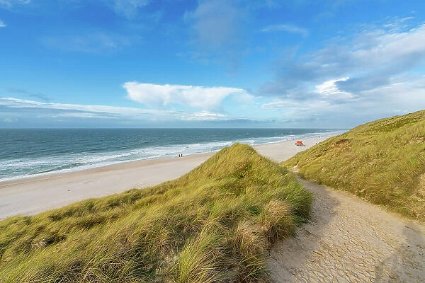 Path leading amongst sand dunes to Wenningstedt beach, Sylt, Nordfriesland, Schleswig-Holstein, Germany