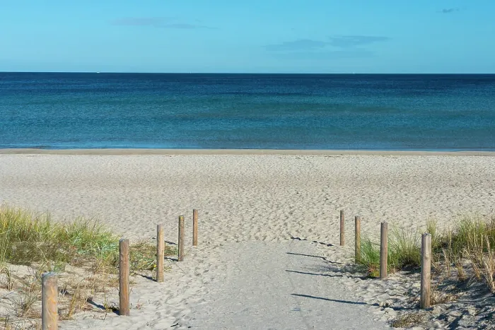 Framed Print : Path leading in sandy beach, Boltenhagen, Nordwestmecklenburg, Mecklenburg-Western Pomerania, Germany Framed Print : Path leading in sandy beach, Boltenhagen, Nordwestmecklenburg, Mecklenburg-Western Pomerania, Germany