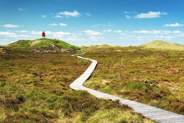 Path to the lighthouse , Amrum island, National Park Schleswig-Holsteinisches Wattenmeer, Amrum island, North Sea, North Friesland, Germany, Europe