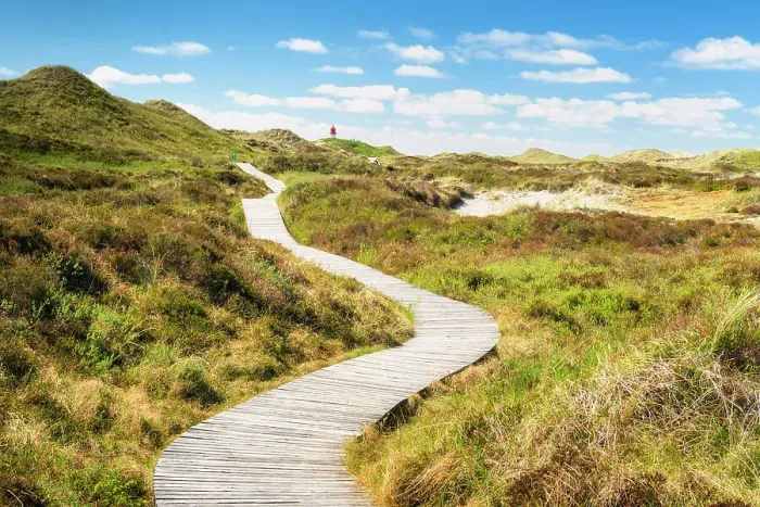 Framed Print : Path to the lighthouse, Amrum island, National Park Schleswig-Holsteinisches Wattenmeer, Amrum island, North Sea, North Friesland, Germany, Europe Framed Print : Path to the lighthouse, Amrum island, National Park Schleswig-Holsteinisches Wattenmeer, Amrum island, North Sea, North Friesland, Germany, Europe