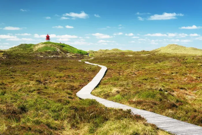 Framed Print : Path to the lighthouse, Amrum island, National Park Schleswig-Holsteinisches Wattenmeer, Amrum island, North Sea, North Friesland, Germany, Europe Framed Print : Path to the lighthouse, Amrum island, National Park Schleswig-Holsteinisches Wattenmeer, Amrum island, North Sea, North Friesland, Germany, Europe
