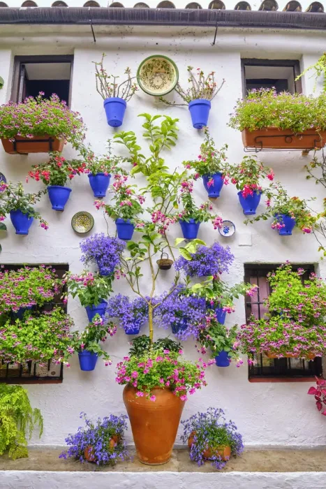 Framed Print : Patio (courtyard) full of flowers and freshness of the Asociacion de Amigos de los Patios Cordobeses, San Basilio district. A UNESCO Intangible Cultural Heritage of Humanity. Cordoba, Andalucia. Spain Framed Print : Patio (courtyard) full of flowers and freshness of the Asociacion de Amigos de los Patios Cordobeses, San Basilio district. A UNESCO Intangible Cultural Heritage of Humanity. Cordoba, Andalucia. Spain