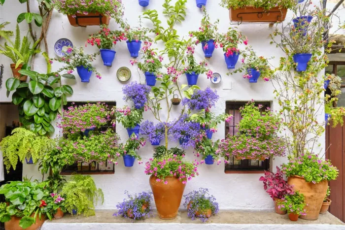 Framed Print : Patio (courtyard) full of flowers and freshness of the Asociacion de Amigos de los Patios Cordobeses, San Basilio district. A UNESCO Intangible Cultural Heritage of Humanity. Cordoba, Andalucia. Spain Framed Print : Patio (courtyard) full of flowers and freshness of the Asociacion de Amigos de los Patios Cordobeses, San Basilio district. A UNESCO Intangible Cultural Heritage of Humanity. Cordoba, Andalucia. Spain