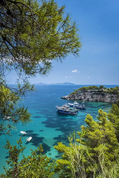 Patitiri, Alonnisos, Sporade Islands, Greece