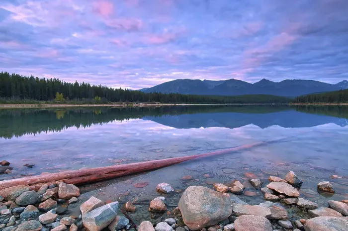 Framed Print : Patricia Lake and the Trident Range, Driftwood or log, Jasper National Park, Alberta, Canada Framed Print : Patricia Lake and the Trident Range, Driftwood or log, Jasper National Park, Alberta, Canada