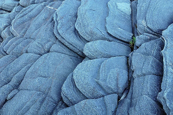Pattern on precambiran shield rock Killbear Provincial Park, Ontario, Canada