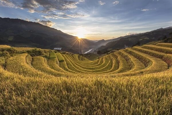 A pattern of rice terraces at sunset, Mu Cang Chai Yen Bai Province, Vietnam, South-East