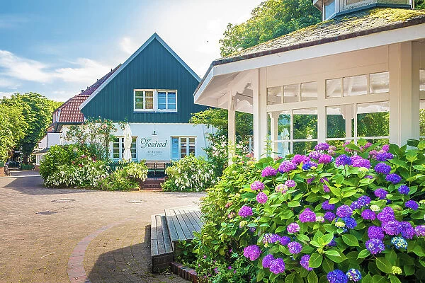 Pavilion at the town hall with lush hydrangeas in the village center of Spiekeroog, East Frisian Islands, East Frisia, Lower Saxony, Germany