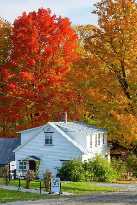Framed Print : Peacham, Vermont, USA Framed Print : Peacham, Vermont, USA