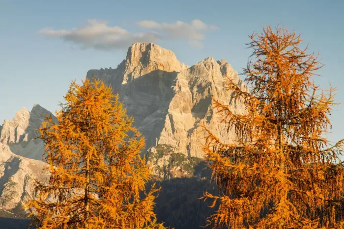 Framed Print : Pelmo mount between larix in autumn. Dolomites, Veneto, Italy Framed Print : Pelmo mount between larix in autumn. Dolomites, Veneto, Italy