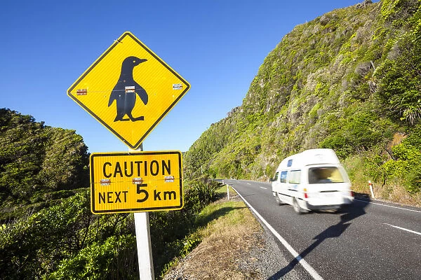 Penguin warning sign & coastal road, Punakaiki, West Coast, South Island, New Zealand