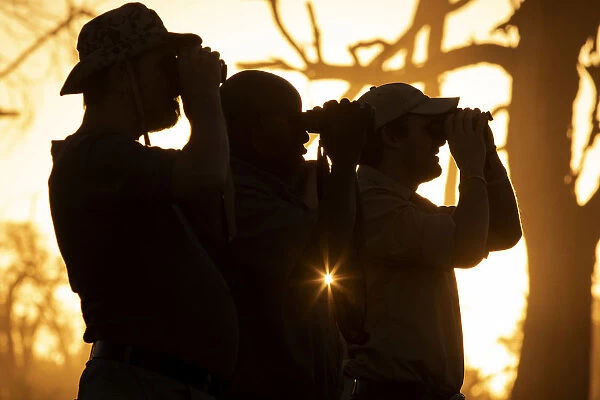 People on Safari, gameviewing at sunset, Moremi National Park, Okavango Delta, Botswana