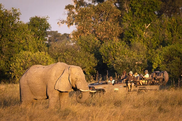 People on Safari, Okavango Delta, Botswana