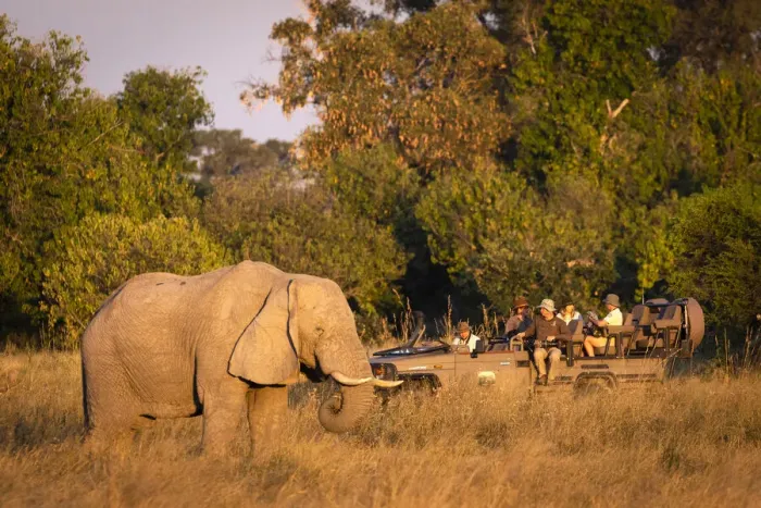 Framed Print : People on Safari, Okavango Delta, Botswana Framed Print : People on Safari, Okavango Delta, Botswana