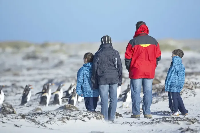 Framed Print : People watching penguins, Falkland Islands, South Atlantic, South America Framed Print : People watching penguins, Falkland Islands, South Atlantic, South America