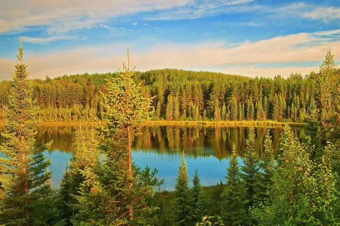 Framed Print : Perch Lake at sunset. Boreal forest, Duck Mountain Provincial Park, Manitoba, Canada Framed Print : Perch Lake at sunset. Boreal forest, Duck Mountain Provincial Park, Manitoba, Canada