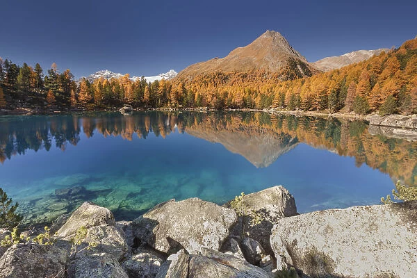A perfect autumn day between in yellow, blue and turquoise colors, lake Saoseo, Poschiavo