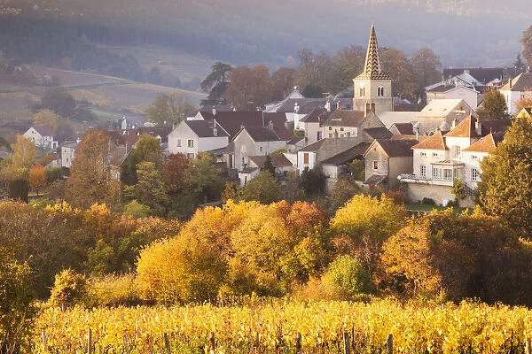Pernand-Vergelesses and its vineyards, Cote d Or, Burgundy, France