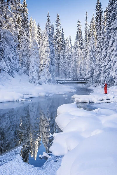Person in Winter Landscape, Emerald Lake, Yoho National Park, British Columbia, Canada