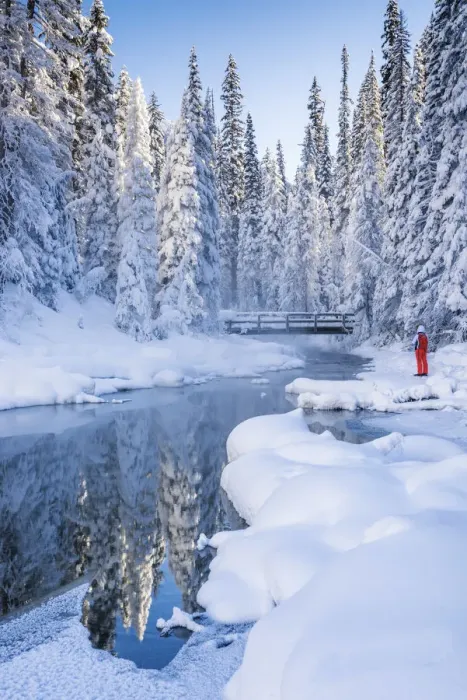 Framed Print : Person in Winter Landscape, Emerald Lake, Yoho National Park, British Columbia, Canada Framed Print : Person in Winter Landscape, Emerald Lake, Yoho National Park, British Columbia, Canada