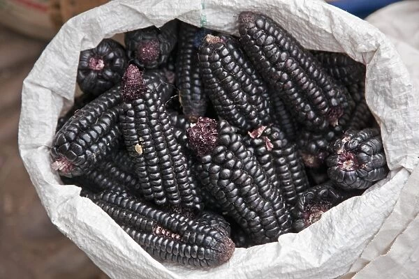 Peru. Black maize cobs, or corn, for sale at Pisac market during the busy weekly Sunday market