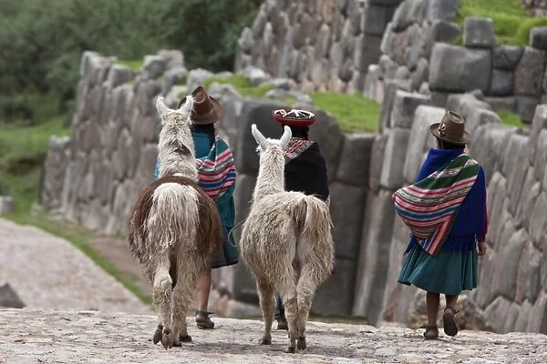 Peru, Native Indian women lead their llamas past the ruins of Saqsaywaman