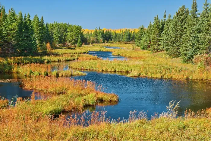 Framed Print : Petopeko Creek in autumn. North of the Bloodvein First Nation on the Rice River Road, Manitoba, Canada Framed Print : Petopeko Creek in autumn. North of the Bloodvein First Nation on the Rice River Road, Manitoba, Canada
