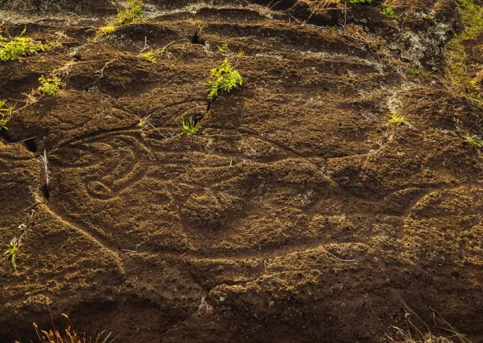 Framed Print : Petroglyphs in Papa Tataku Poki nearby Tongariki, Rapa Nui National Park, Easter Island Framed Print : Petroglyphs in Papa Tataku Poki nearby Tongariki, Rapa Nui National Park, Easter Island