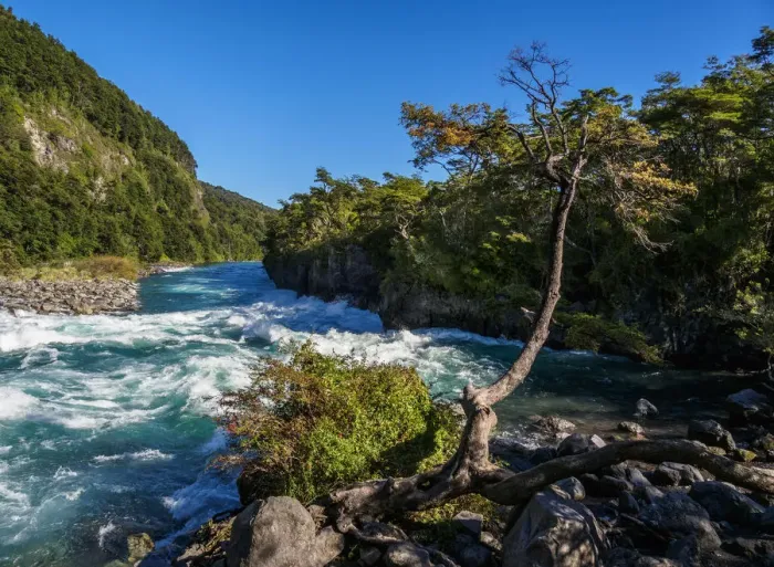 Framed Print : Petrohue River, Petrohue, Llanquihue Province, Los Lagos Region, Chile Framed Print : Petrohue River, Petrohue, Llanquihue Province, Los Lagos Region, Chile