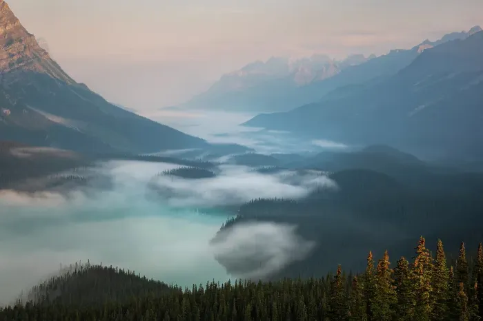 Framed Print : Peyto Lake, Banff National Park, Canada Framed Print : Peyto Lake, Banff National Park, Canada