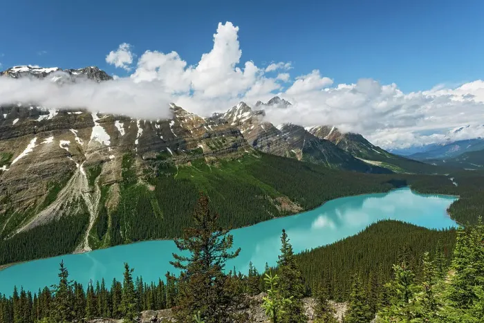 Framed Print : Peyto Lake and Caldron Peak, Banff National Park, Alberta, Canada Framed Print : Peyto Lake and Caldron Peak, Banff National Park, Alberta, Canada
