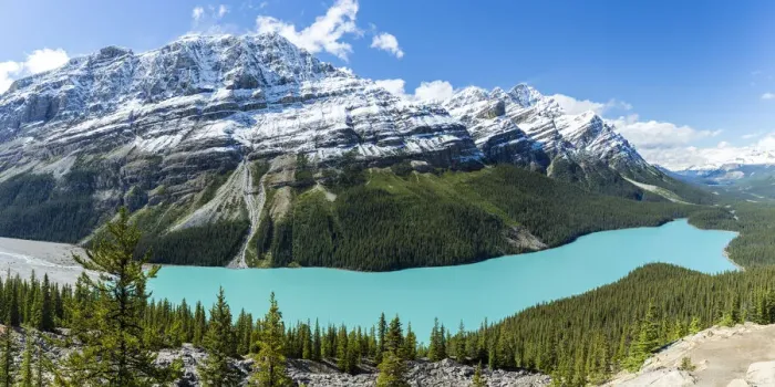 Framed Print : Peyto Lake along Icefileds Parkway in Banff National Park, Alberta, Canada Framed Print : Peyto Lake along Icefileds Parkway in Banff National Park, Alberta, Canada