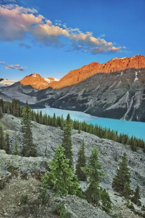 Framed Print : Peyto Lake with Mount Patterson - Canada, Alberta, Banff National Park Framed Print : Peyto Lake with Mount Patterson - Canada, Alberta, Banff National Park
