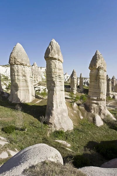 Phallic pillars (Fairy Chimneys), Love Valley, near Goreme, Cappadocia, Anatolia, Turkey