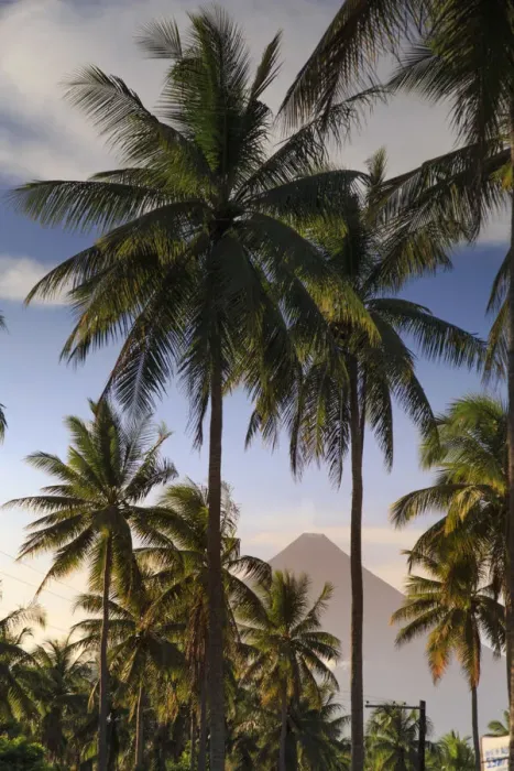 Framed Print : Philippines, Southeastern Luzon, Bicol, Mayon Volcano Framed Print : Philippines, Southeastern Luzon, Bicol, Mayon Volcano