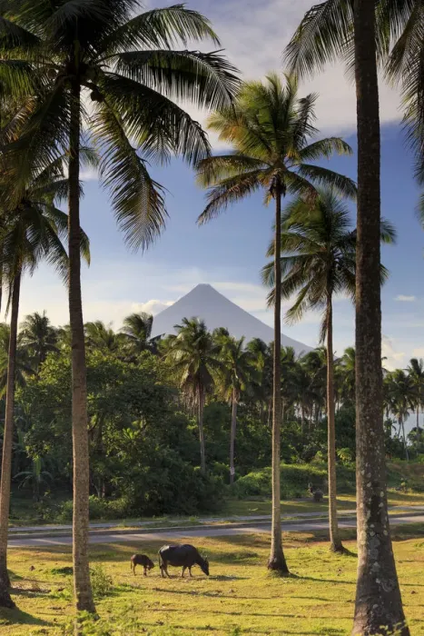 Framed Print : Philippines, Southeastern Luzon, Bicol, Mayon Volcano Framed Print : Philippines, Southeastern Luzon, Bicol, Mayon Volcano