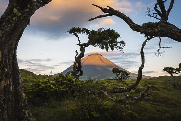 Pico island, Azores, Portugal. Mount Pico and surrounding landscape