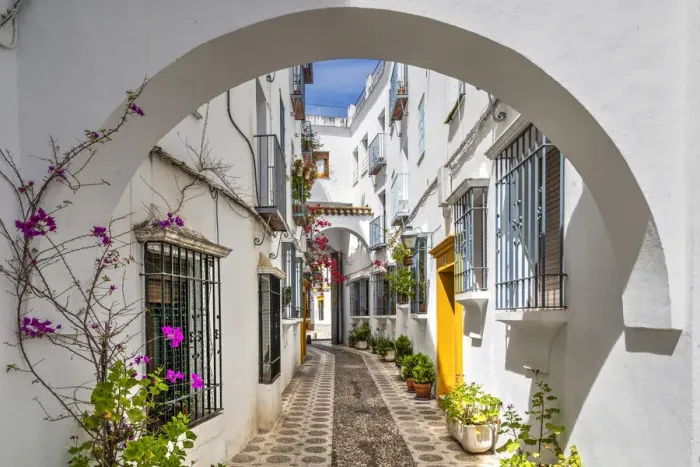 Framed Print : Picturesque cobbled alley with whitewashed houses and flowers, Cordoba, Andalusia, Spain Framed Print : Picturesque cobbled alley with whitewashed houses and flowers, Cordoba, Andalusia, Spain