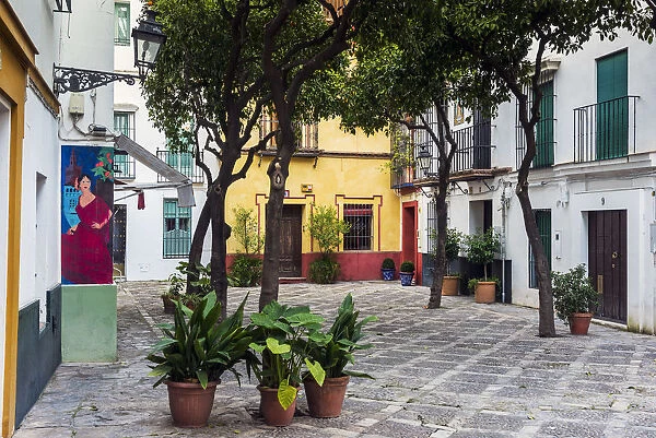 Picturesque small square in Santa Cruz neighborhood, Seville, Andalusia, Spain
