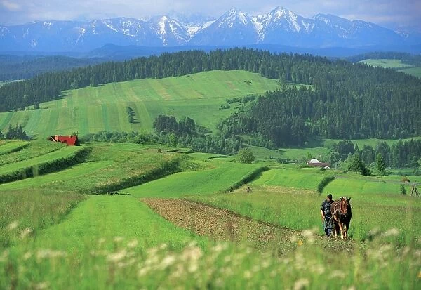 The Pienny, Carpathian Mountains, Poland
