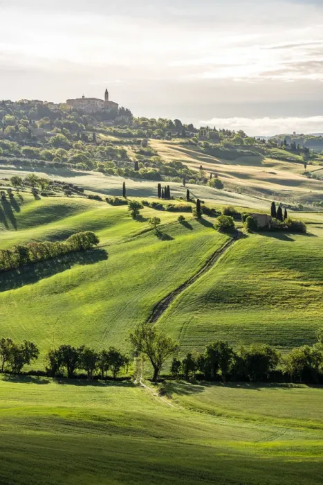 Framed Print : Pienza in background, green meadow and spring field in foreground, Val d Orcia Framed Print : Pienza in background, green meadow and spring field in foreground, Val d Orcia