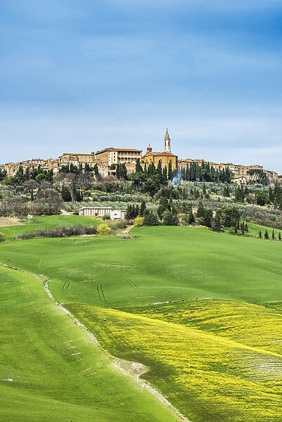 Pienza, Siena district, Tuscany, Italy. View of the green hills of Pienza with the