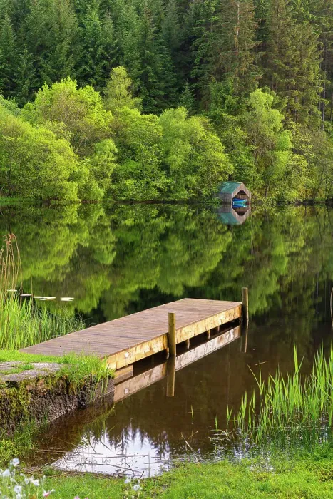 Framed Print : Pier on shore of Loch Ard, Aberfoyle, Stirling, Perthshire, Scotland, UK Framed Print : Pier on shore of Loch Ard, Aberfoyle, Stirling, Perthshire, Scotland, UK